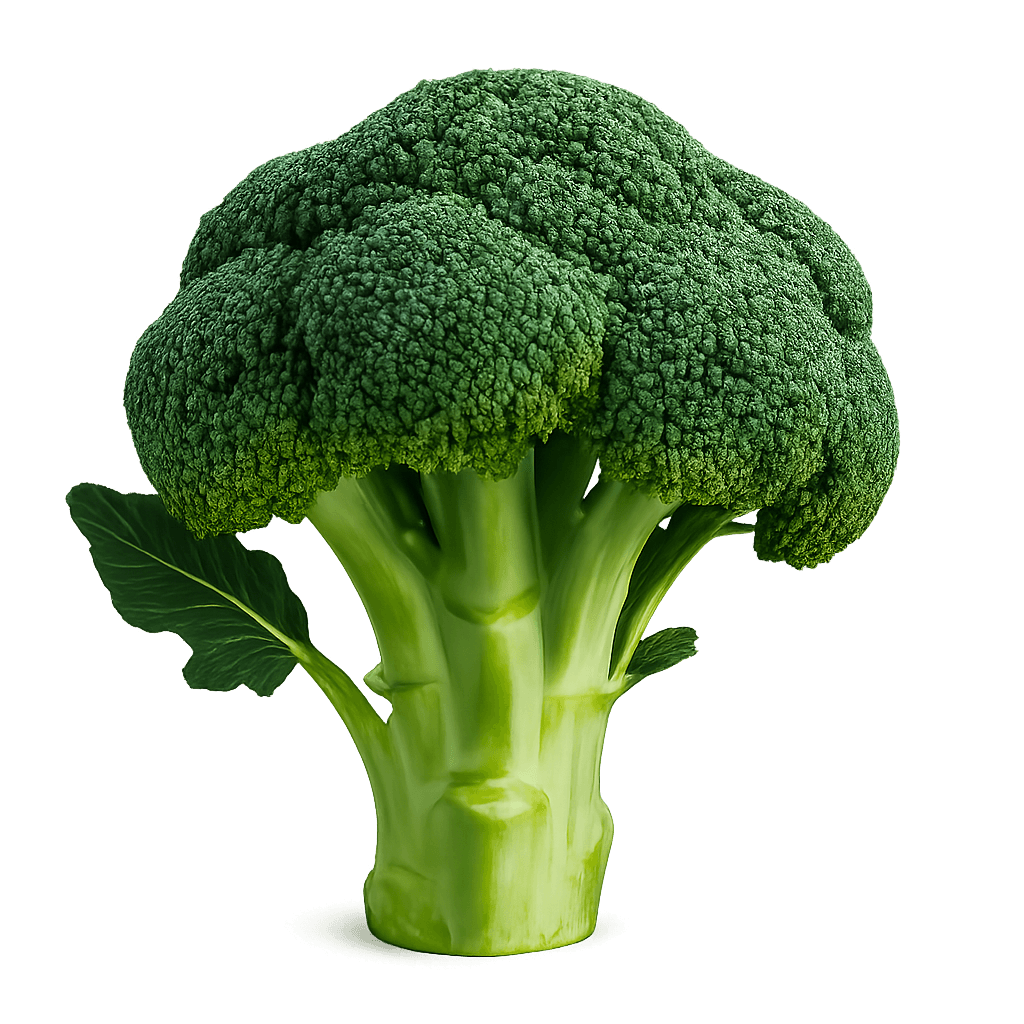 Brokoli