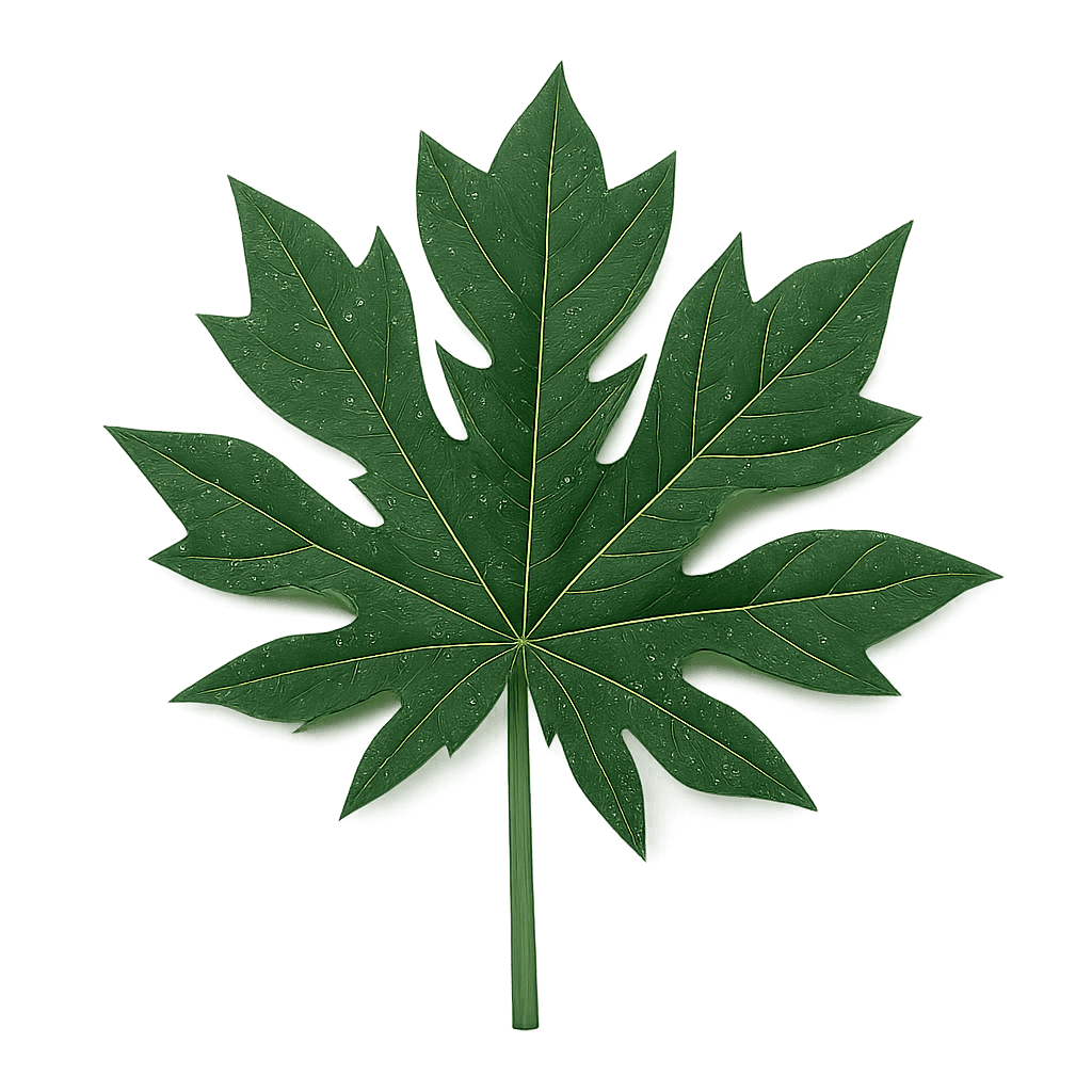 Daun Pepaya